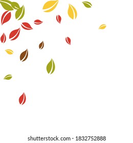 Falling autumn leaves. Red, yellow, green, brown chaotic leaves flying. Corner colorful foliage on mind-blowing white background. Bold back to school sale.
