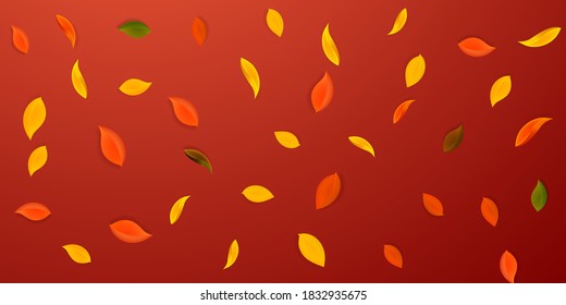 Falling autumn leaves. Red, yellow, green, brown neat leaves flying. Falling rain colorful foliage on mind-blowing red background. Captivating back to school sale.