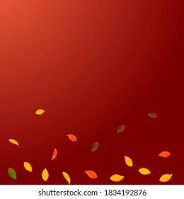 Falling autumn leaves. Red, yellow, green, brown random leaves flying. Gradient colorful foliage on pretty red background. Awesome back to school sale.