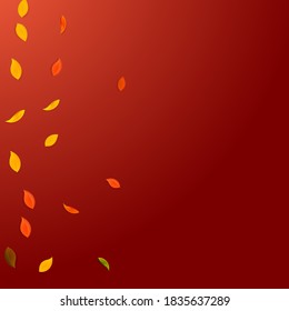 Falling autumn leaves. Red, yellow, green, brown random leaves flying. Gradient colorful foliage on worthy red background. Awesome back to school sale.