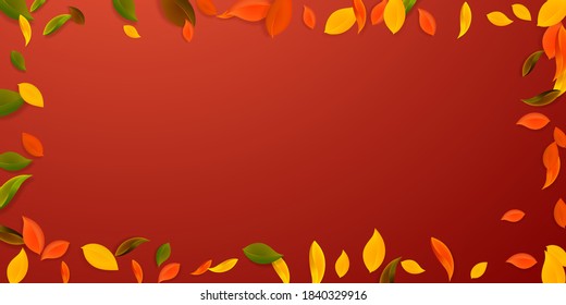 Falling autumn leaves. Red, yellow, green, brown chaotic leaves flying. Frame colorful foliage on breathtaking red background. Charming back to school sale.