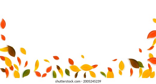 Falling autumn leaves. Red, yellow, green, brown chaotic leaves flying. Falling rain colorful foliage on ravishing white background. Captivating back to school sale.