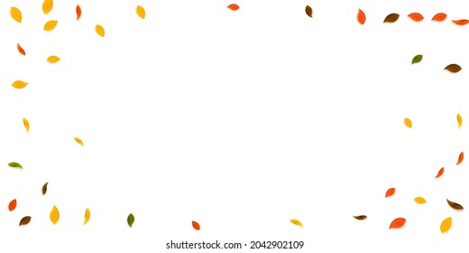 Falling autumn leaves. Red, yellow, green, brown random leaves flying. Vignette colorful foliage on fresh white background. Charming back to school sale.