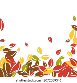 Falling autumn leaves. Red, yellow, green, brown chaotic leaves flying. Falling rain colorful foliage on neat white background. Authentic back to school sale.