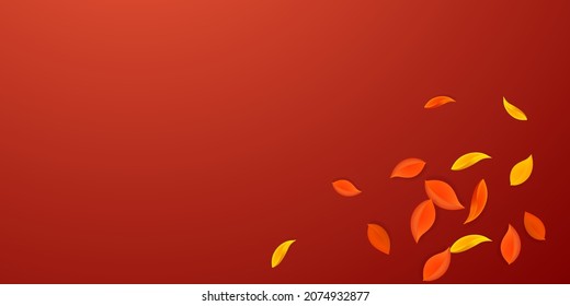 Falling autumn leaves. Red, yellow, green, brown neat leaves flying. Explosion colorful foliage on divine red background. Captivating back to school sale.