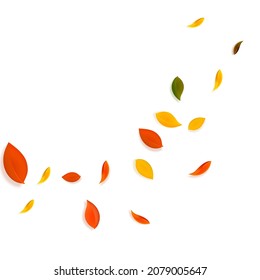 Chute des feuilles d'automne. Feuilles chaotiques rouges, jaunes, vertes, brunes qui volent. Coin du feuillage coloré sur fond exceptionnel coucher de soleil. Retour à la vente d'école.