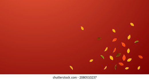 Falling autumn leaves. Red, yellow, green, brown random leaves flying. Explosion colorful foliage on enchanting red background. Captivating back to school sale.