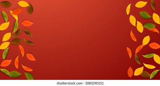 Falling autumn leaves. Red, yellow, green, brown neat leaves flying. Border colorful foliage on admirable red background. Captivating back to school sale.