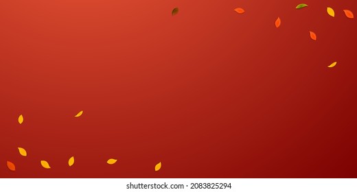 Falling autumn leaves. Red, yellow, green, brown random leaves flying. Corners colorful foliage on beauteous red background. Captivating back to school sale.