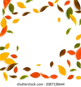 Falling autumn leaves. Red, yellow, green, brown chaotic leaves flying. Vignette colorful foliage on enchanting sunset background. Brilliant back to school sale.