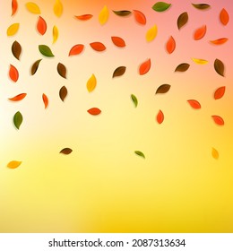 Fallende Herbstblätter. Rote, gelbe, grüne, braune Zufallsblätter fliegen. Regenfälle, buntes Blattwerk auf fabelhaft weißem Hintergrund. Atemberaubende Rückkehr zum Schulverkauf.