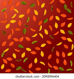 Falling autumn leaves. Red, yellow, green, brown random leaves flying. Pattern colorful foliage on bewitching red background. Brilliant back to school sale.