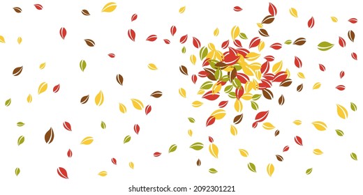 Falling autumn leaves. Red, yellow, green, brown chaotic leaves flying. Explosion colorful foliage on bewitching white background. Beauteous back to school sale.