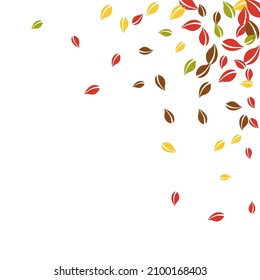 Falling autumn leaves. Red, yellow, green, brown chaotic leaves flying. Corner colorful foliage on overwhelming white background. Bold back to school sale.