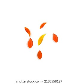 Falling autumn leaves. Red, yellow, green, brown neat leaves flying. Explosion colorful foliage on bewitching sunset background. Authentic back to school sale.