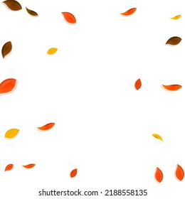 Falling autumn leaves. Red, yellow, green, brown chaotic leaves flying. Vignette colorful foliage on delicate sunset background. Brilliant back to school sale.
