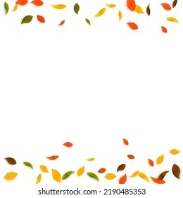 Falling autumn leaves. Red, yellow, green, brown chaotic leaves flying. Borders colorful foliage on immaculate sunset background. Attractive back to school sale.