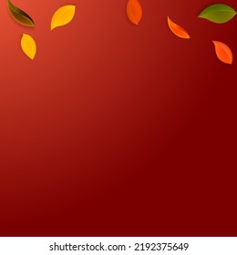 Falling autumn leaves. Red, yellow, green, brown neat leaves flying. Gradient colorful foliage on ravishing red background. Breathtaking back to school sale.