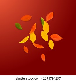 Falling autumn leaves. Red, yellow, green, brown neat leaves flying. Explosion colorful foliage on resplendent red background. Bold back to school sale.