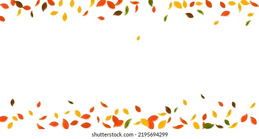 Falling autumn leaves. Red, yellow, green, brown chaotic leaves flying. Border colorful foliage on unusual white background. Brilliant back to school sale.