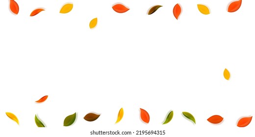 Falling autumn leaves. Red, yellow, green, brown neat leaves flying. Border colorful foliage on uncommon white background. Brilliant back to school sale.