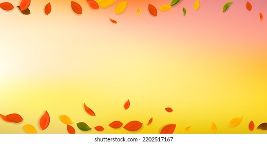 Falling autumn leaves. Red, yellow, green, brown chaotic leaves flying. Border colorful foliage on symmetrical sunset background. Brilliant back to school sale.