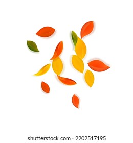 Falling autumn leaves. Red, yellow, green, brown neat leaves flying. Explosion colorful foliage on shapely sunset background. Bold back to school sale.