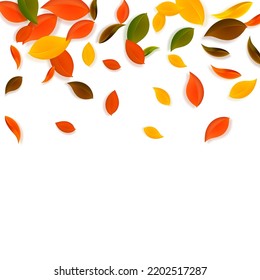 Falling autumn leaves. Red, yellow, green, brown chaotic leaves flying. Gradient colorful foliage on emotional sunset background. Awesome back to school sale.