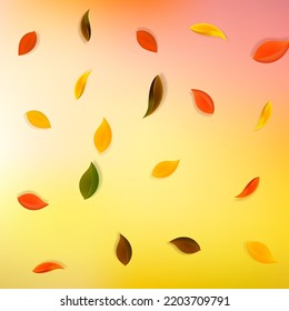 Falling autumn leaves. Red, yellow, green, brown neat leaves flying. Falling rain colorful foliage on bewitching white background. Breathtaking back to school sale.