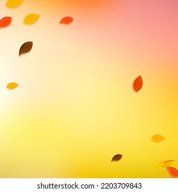 Falling autumn leaves. Red, yellow, green, brown chaotic leaves flying. Corner colorful foliage on impressive white background. Bold back to school sale.