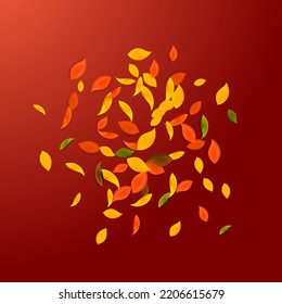 Falling autumn leaves. Red, yellow, green, brown chaotic leaves flying. Explosion colorful foliage on extra red background. Authentic back to school sale.
