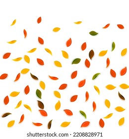 Falling autumn leaves. Red, yellow, green, brown random leaves flying. Gradient colorful foliage on beauteous sunset background. Awesome back to school sale.