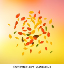 Falling autumn leaves. Red, yellow, green, brown chaotic leaves flying. Explosion colorful foliage on fabulous white background. Authentic back to school sale.