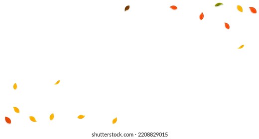 Falling autumn leaves. Red, yellow, green, brown random leaves flying. Corners colorful foliage on bewitching white background. Captivating back to school sale.
