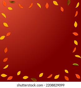 Falling autumn leaves. Red, yellow, green, brown random leaves flying. Frame colorful foliage on tempting red background. Authentic back to school sale.