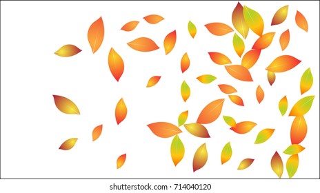 Falling Autumn Leaves Vector Background. Seasonal Frame for September, October, November. Realistic Red, Orange, Yellow Falling Autumn Leaves Confetti Flying. Seasonal Banner, Windy Weather Wallpaper.