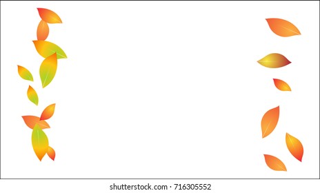Falling Autumn Leaves Vector Background. Seasonal Frame for September, October, November. Realistic Red, Orange, Yellow Falling Autumn Leaves Confetti Flying. Seasonal Banner, Windy Weather Wallpaper.