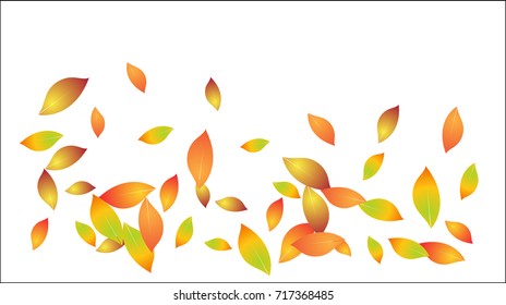 Falling Autumn Leaves Vector Background. Seasonal Frame for September, October, November. Realistic Red, Orange, Yellow Falling Autumn Leaves Confetti Flying. Seasonal Banner, Windy Weather Wallpaper.