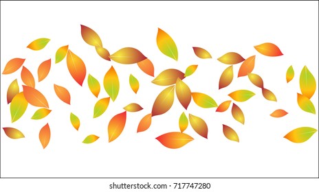 Falling Autumn Leaves Vector Background. Seasonal Frame for September, October, November. Realistic Red, Orange, Yellow Falling Autumn Leaves Confetti Flying. Seasonal Banner, Windy Weather Wallpaper.