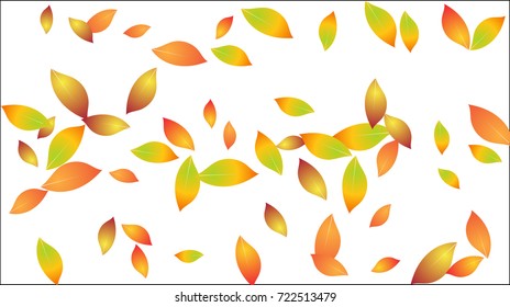 Falling Autumn Leaves Vector Background. Seasonal Frame for September, October, November. Realistic Red, Orange, Yellow Falling Autumn Leaves Confetti Flying. Seasonal Banner, Windy Weather Wallpaper.
