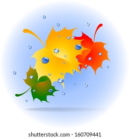 Falling autumn leaves. Vector illustration 