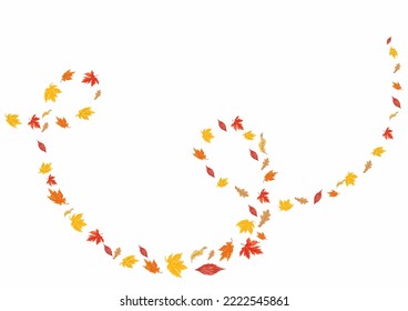 Falling autumn leaves wind spiral overlay. Maple, oak leaves realistic illustration isolated on white background. Design element, banner, cover for cards, posters, invitations, social media. 