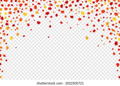 Caer hojas de arce otoñales sobre fondo transparente. Vector