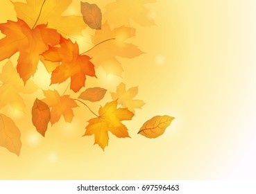 Falling autumn maple leaves background