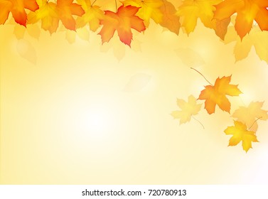 Falling autumn maple leaves background