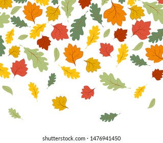 Falling autumn maple leaves isolated on white background
