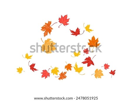Falling autumn maple leaves isolated on white background. Vector cartoon illustration.