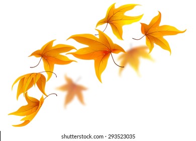 Falling autumn maple leaves on white background, vector illustration