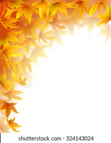 Falling autumn maple leaves on white background