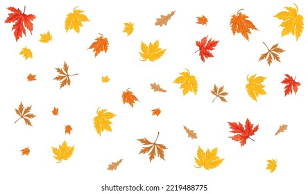 Falling autumn maple and oak leaves. Vector realistic illustration. Maple leaves isolated on white background. Design element, banner, background, overlay for cards, posters, invitations, social media